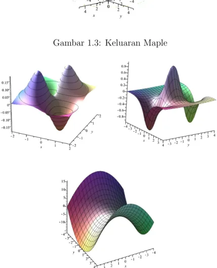 Gambar 1.4: Output Program Maple