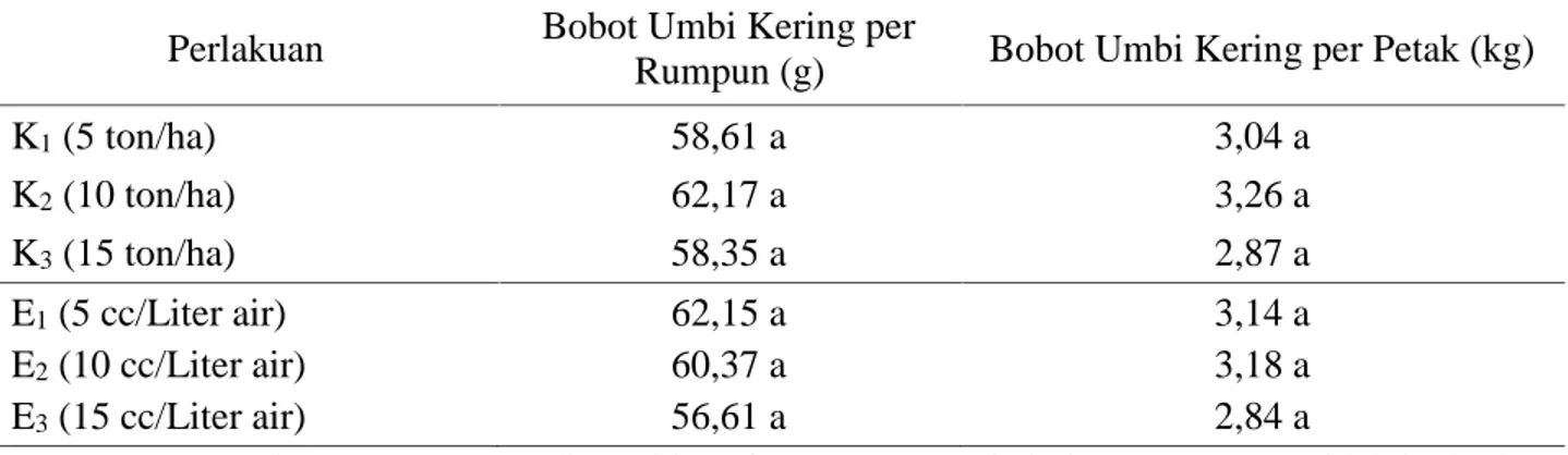 Tabel 6. Pemberian Pupuk Kascing dan Mikroorganisme Efektif (EM4) terhadap Rata-rata Bobot Umbi Kering per Rumpun (g) dan per Petak (kg)