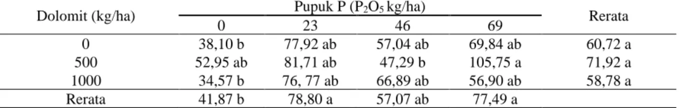 Tabel  7.  Berat  biji  kering  kacang  tanah/m 2 (g/m 2 )  sebagai  tanaman  sela  diantara  kelapa  sawit  pada  lahan gambut yang diberi dolomit dan pupuk P  