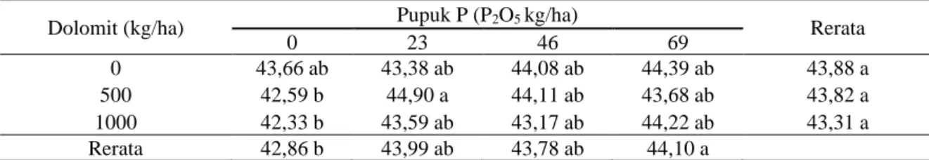 Tabel  12.  Berat  100  biji  kacang  tanah  (g)  sebagai  tanaman  sela  diantara  kelapa  sawit  pada  lahan  gambut yang diberi dolomit dan pupuk P  