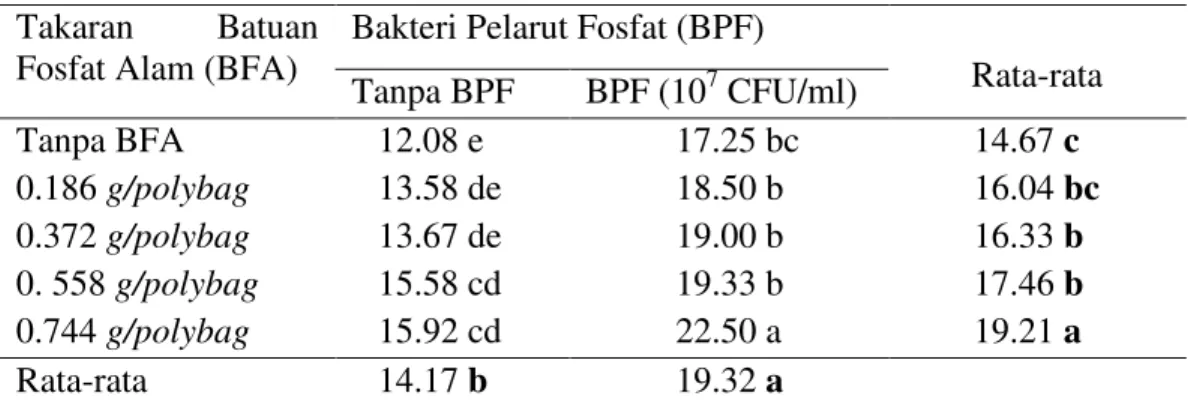 Tabel  5.  Rata-rata  polong  total  tanaman  (%)  dengan  pemberian  bakteri        pelarut fosfat pada berbagai takaran batuan fosfat
