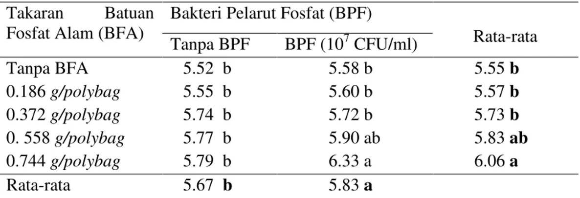 Tabel  6.  Rata-rata  berat  100  biji  tanaman  (g)  dengan  pemberian  bakteri  pelarut fosfat pada berbagai takaran batuan fosfat