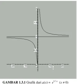 GAMBAR 1.3.1 Grafik dari g(x) =  e 1 / x  ( x  ≠ 0) 