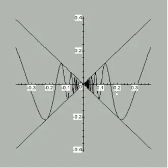 Gambar 2.1.3  Grafik dari f(x) = x sin(1/x)   x ≠ 0 
