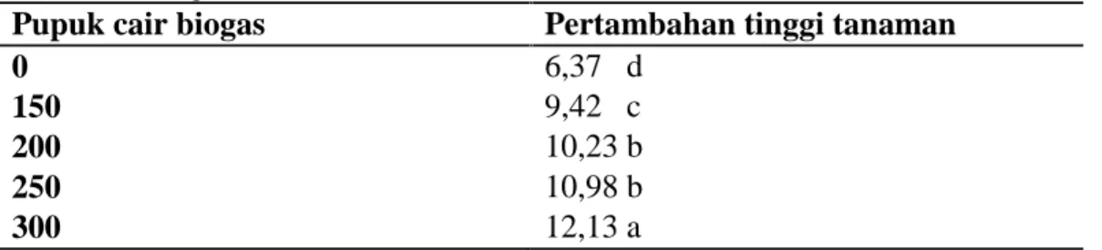 Tabel  1  Menunjukkan  bahwa pemberian  pupuk  cair  biogas  dosis 300 ml/tanaman berbeda nyata dengan semua  dosis  lainnya