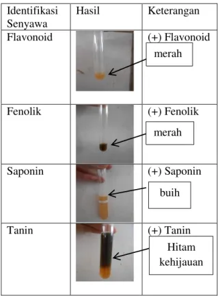 Tabel 1. Hasil Skrining Fitokimia  Identifikasi  Senyawa  Hasil   Keterangan   Flavonoid  (+) Flavonoid  Fenolik  (+) Fenolik  Saponin  (+) Saponin  Tanin  (+) Tanin h merah merah buih  Hitam  kehijauan kehijauan 