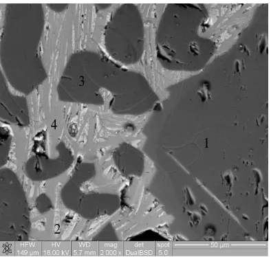 Figure 1. SEM image of the MSp product: spinel MA (1); aluminate phase ss. CA-C6A4MS (2); grain of magnesia clinker (3); black areas are pores