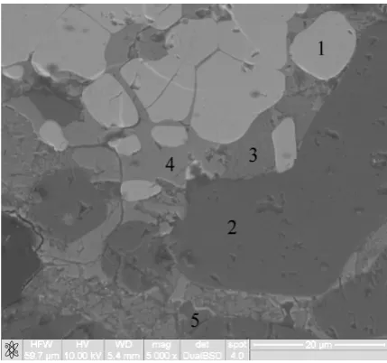 Figure 5. SEM image of the after-corrosion contact zone of the formed deposition composed of clinker on the MCZ product