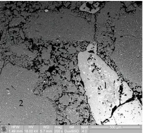 Figure 7. SEM image of the MH product, coarse grain of magne-sia clinker (2) enriched with ferric oxide, grain of fused hercynite (1) located in the matrix of magnesia clinker