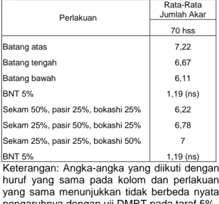 Tabel  6.  Rata-Rata  Jumlah  Akar  pada  Umur  70 HSS   Akibat  Pengaruh  Bahan  Stek Batang  dan Media Tanam Jeruk Lemon 