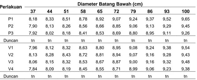 Tabel  4.  Rerata  diameter  batang  bawah  varietas  JC  pada  umur  pengamatan  37  HSO  hingga 