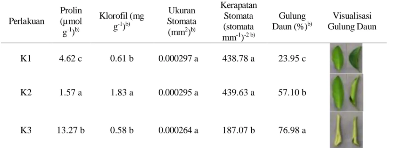 Tabel 3 Peubah status cekaman kekeringan tanaman jeruk keprok  Perlakuan  Prolin (µmol  g -1 ) b) Klorofil (mg g-1)b) Ukuran  Stomata (mm2)b) Kerapatan Stomata (stomata  mm -1 ) -2 b) Gulung Daun (%) b) Visualisasi  Gulung Daun  K1  4.62 c  0.61 b  0.00029