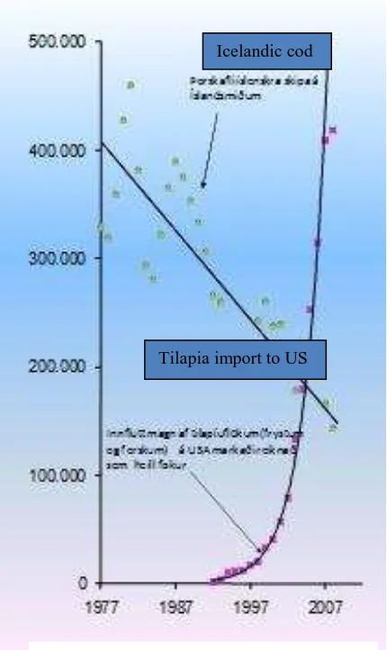 Figure 2: Development of cod catch and tilapia import to USA 1977-2007 