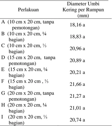 Tabel  13.  Pengaruh  Kombinasi  Jarak  Tanam  dan  Pemotongan  Umbi  Bibit  terhadap  Diameter  Umbi  Kering  per  Rumpun (mm) 