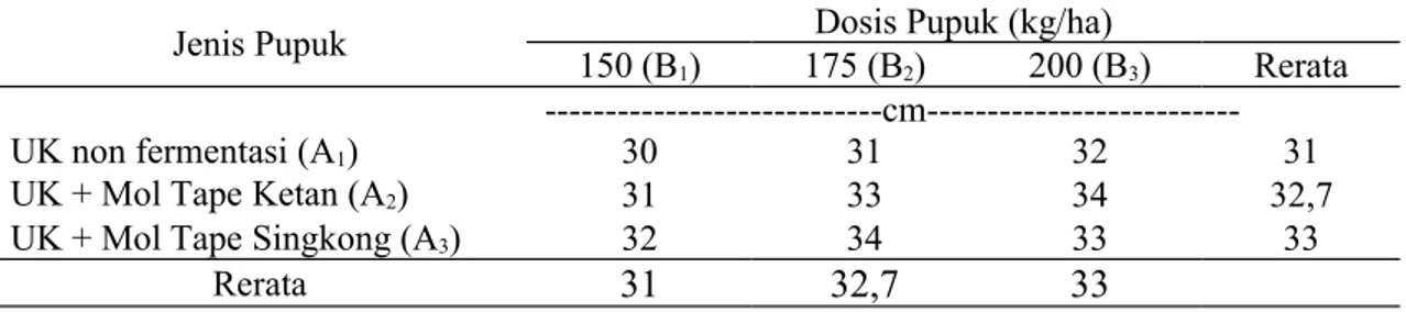 Tabel 3.  Tinggi Tanaman Sawi dengan Aplikasi Pupuk Urin Kelinci (UK) dengan Jenis dan Dosis yang Berbeda.