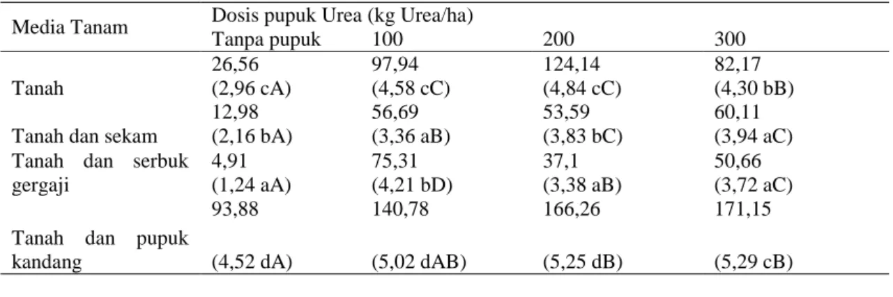 Gambar 3. Peningkatan berat daun selada akibat  pengaruh  interaksi  media  tanam  dan  pemberian  pupuk Urea 
