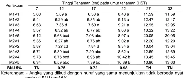 Tabel 1. Rata-rata  tinggi tanaman selada akibat interaksi perlakuan macam komposisi  media dan vermikompos pada berbagai umur tanaman 