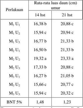 Tabel  2  dapat  di  lihat  bahwa  interaksi  perlakuan  media  dan  pemupukan  urea,  terbaik  diperoleh  pada  perlakuan  media  tanam jenis tanah : Pupuk kandang sapi  : Kompos ( 1 : 1 : 1 ) pada pemupukan  urea 200 kg/ha (M 2  U 2  )