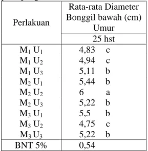Tabel  4  Rata-rata  bonggol  bawah  (cm)  pada pengamatan umur 