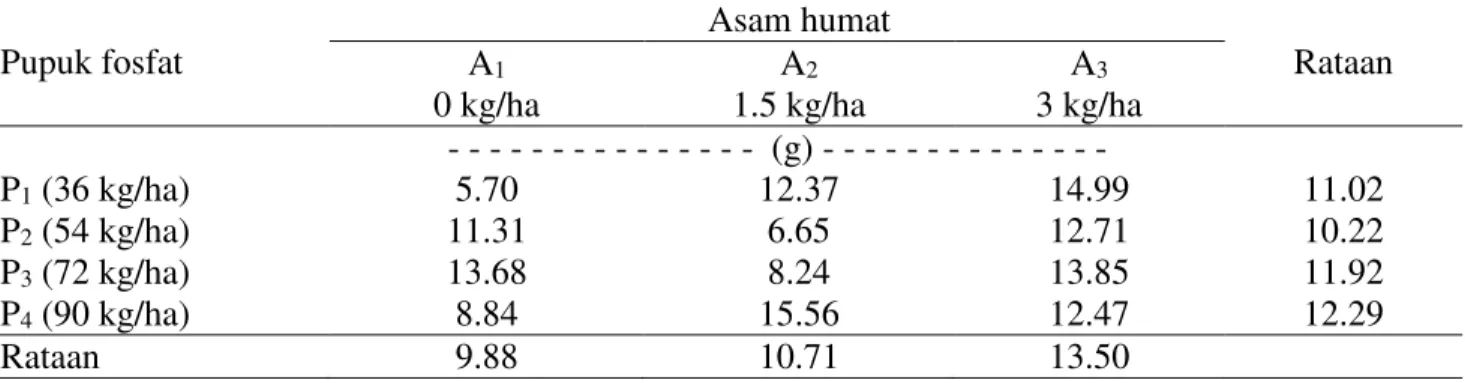 Tabel  7  menunjukkan  rataan  bobot  basah  umbi  per  sampel  tertinggi  diperoleh  pada  dosis  pupuk  fosfat  72  kg/ha  (P3)  yang  berbeda  tidak  nyata  dengan  perlakuan  fosfat  lainnya  begitu  juga  rataan  bobot  basah  umbi  persampel    terti