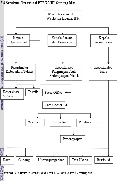 Gambar 7. Struktur Organisasi Unit I Wisata Agro Gunung Mas 