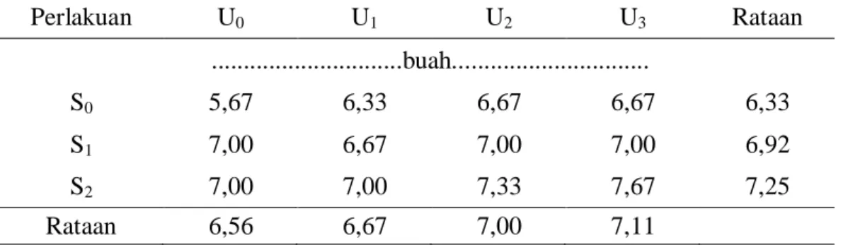 Tabel  5.  Rataan  Jumlah  Buah  per  Plot  Tanaman  Mentimun  dengan  Pemberian  Limbah   Padat (Sludge) Kelapa Sawit dan POC Urin Sapi 