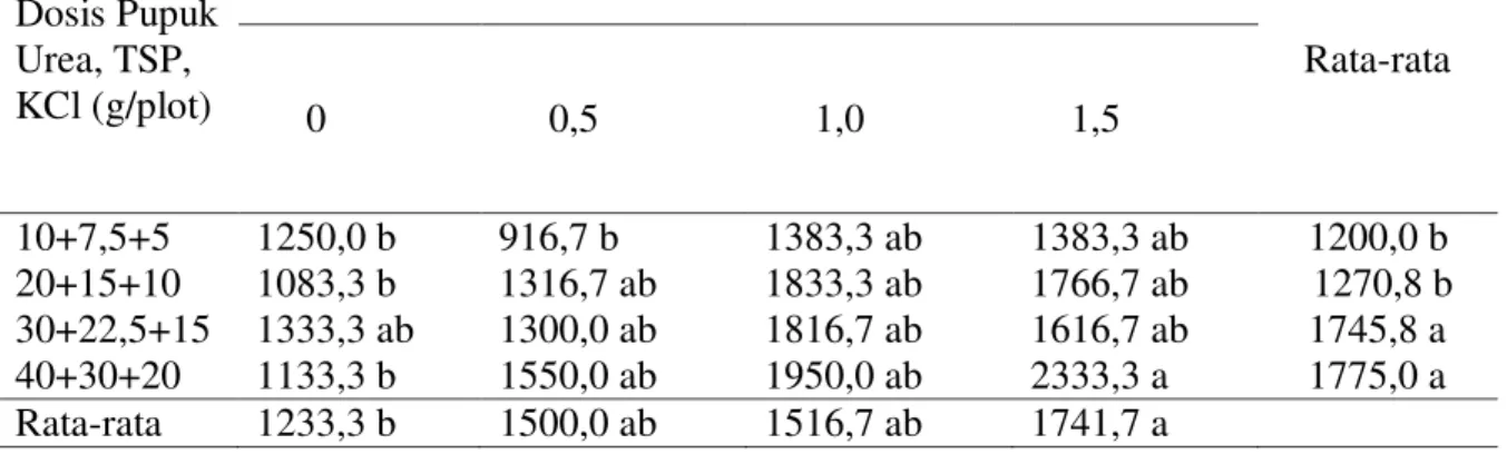 Tabel 5.  Bobot tongkol tanpa kelobot per plot jagung  manis pada pemberian berbagai dosis  kompos kulit buah kakao dan pupuk N, P, K (g) 