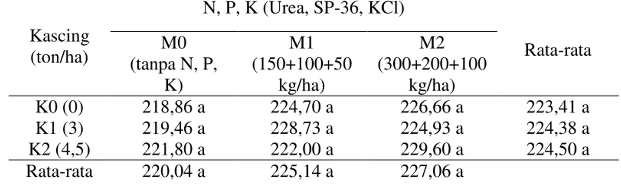 Tabel  1.  Rata-rata  tinggi  tanaman  (cm)  dengan  dosiskascing  dan  N,  P,  K  pada    tanaman jagung manis