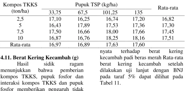 Tabel  11.  Rata-rata  berat  kering  kecambah  (g)  tanaman  padi  beras  merah  yang  diberi kompos TKKS dan pupuk fosfor