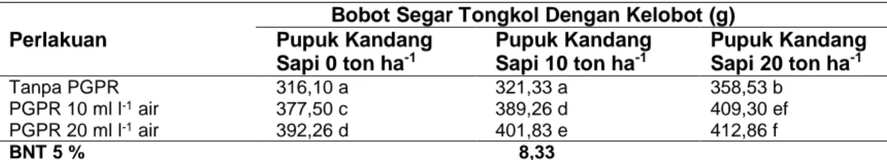 Tabel  5.  Bobot  Segar  Tongkol  dengan  Kelobot  akibat  Interaksi  Pemberian  PGPR  dan  Pupuk  Kandang Sapi pada Tanaman Jagung Manis