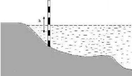 Figure 1. Placed Piles Centimeter Scale.