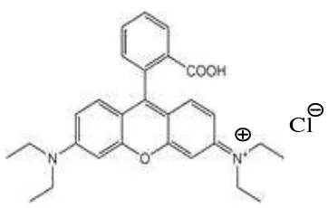 Gambar 1. Struktur molekul basic violet 10.