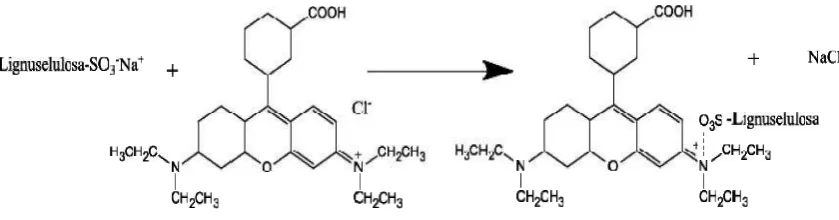 Gambar 6. Model interaksi lignoselulosa sulfonat dengan basic violet 10.