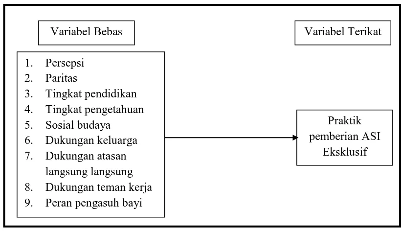 Gambar 3.1 Kerangka Konsep 