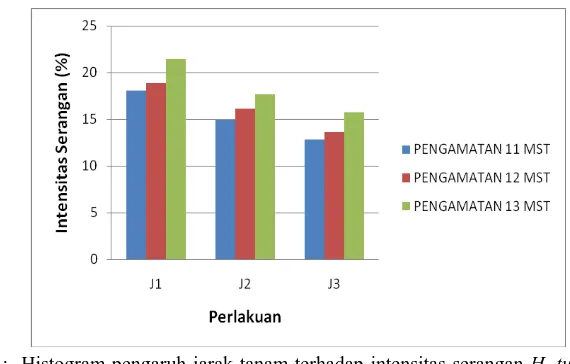 Gambar 3 :  Histogram pengaruh jarak tanam terhadap intensitas serangan H. turcicum (%) pada pengamatan 12-14 mst