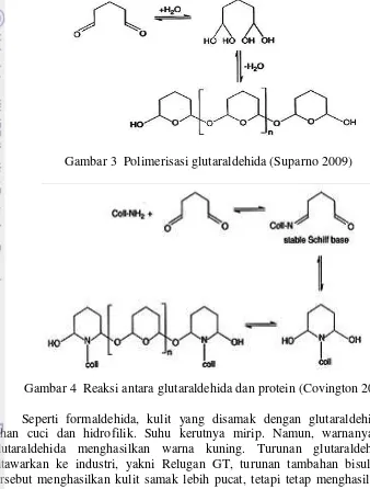 Gambar 3  Polimerisasi glutaraldehida (Suparno 2009) 