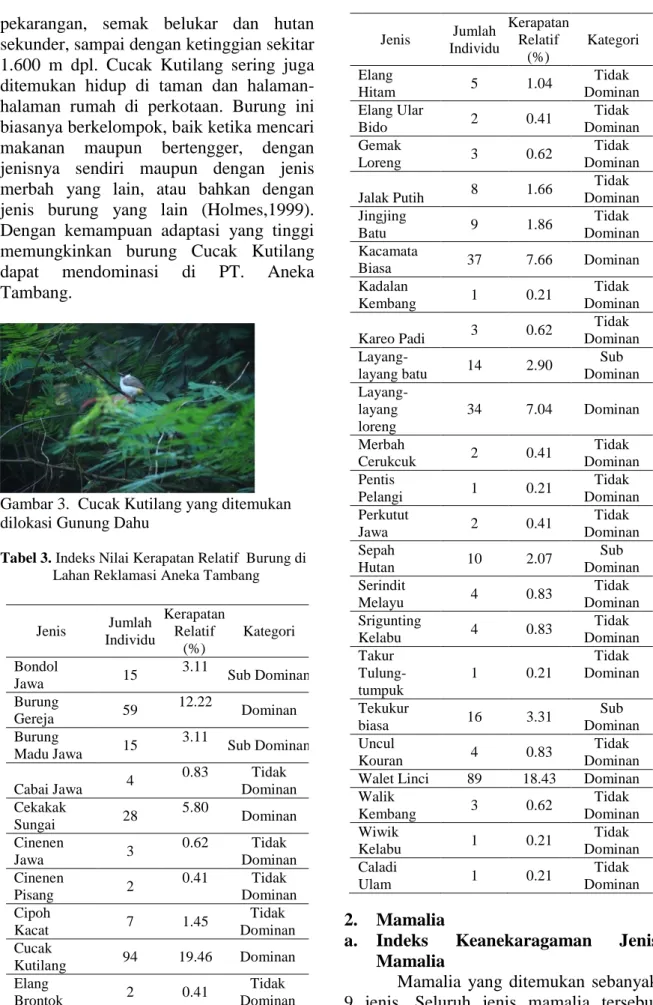 Tabel 3. Indeks Nilai Kerapatan Relatif  Burung di                 Lahan Reklamasi Aneka Tambang   