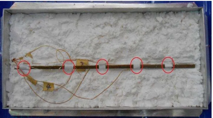 Gambar 6  Posisi probe termokopel dalam sampel 