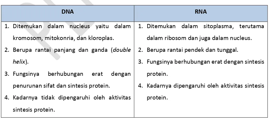Tabel 11.1 Perbedaan secara umum DNA dan RNA 