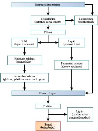 Gambar 2.2. Tahapan dalam Produksi Bioetanol Secara Umum (Joshi  et al. 2011) 