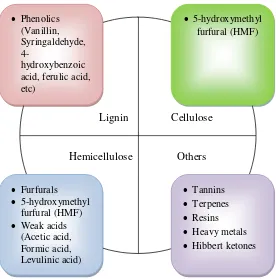 Gambar 2.5. Berbagai Senyawa Turunan Hidrolisis Asam (Chandel et al. 2011b) 