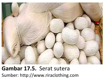Gambar 17.5.  Serat sutera 