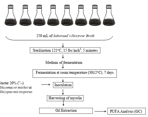 Figure 1. Production of PUFA by Submerged Fermentation. 