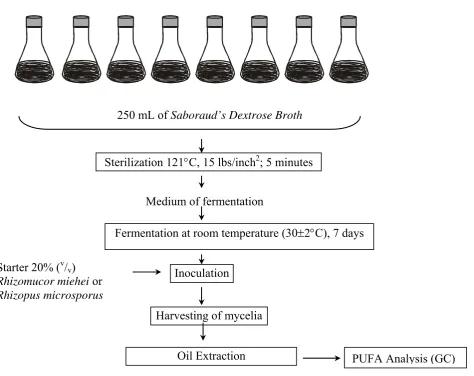 Figure 1. Production of PUFA by Submerged Fermentation. 