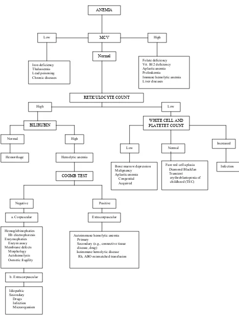 Gambar 1. Pendekatan diagnostik anemia terhadap nilai MCV dan jumlah retikulosit 