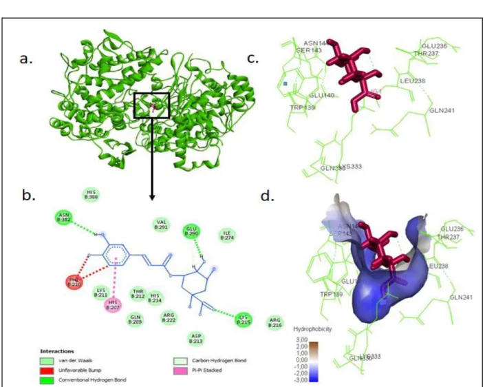 Gambar  2.  Interaksi antara  Asam  Kuinat  dan  COX-2.  a.  Interaksi  ligan dan  Protein;  b