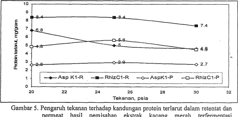 Gambar 5. Pengaruh tekanan terhadap kmdungan protein terlarut dalam retentat dan pemeat hasil pemisahm ekstrak kacang rnerah terfementasi menggun&an inokulum Aspergillus sp-Kl dan Bizaphus sp-C 1 melalui membmn mikrofiltrasi pada 200 rprn 