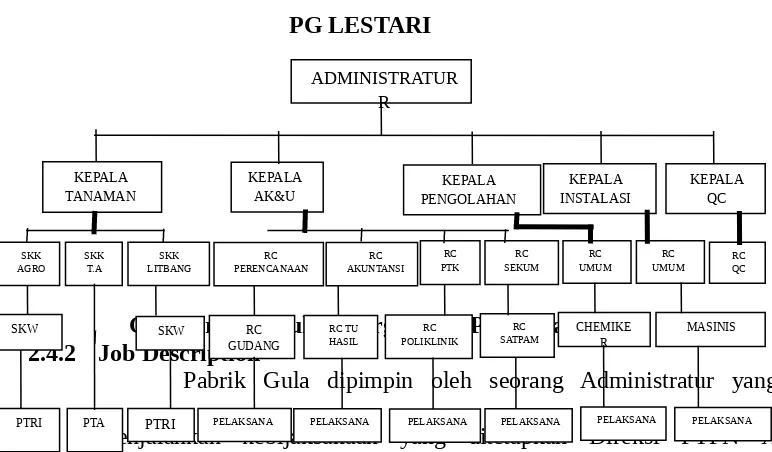 Gambar 2.1 Struktur Organisasi PG LestariSKWRC RC TU HASILRC POLIKLINIKRC SATPAMCHEMIKE