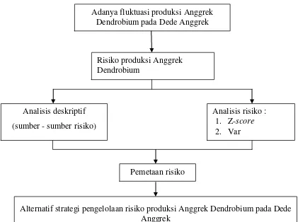Gambar 3 Kerangka pemikiran operasional analisis risiko produksi Anggrek Dendrobium pada Dede Anggrek 