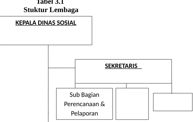 Tabel 3.1 Stuktur Lembaga